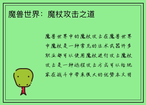 魔兽世界：魔杖攻击之道